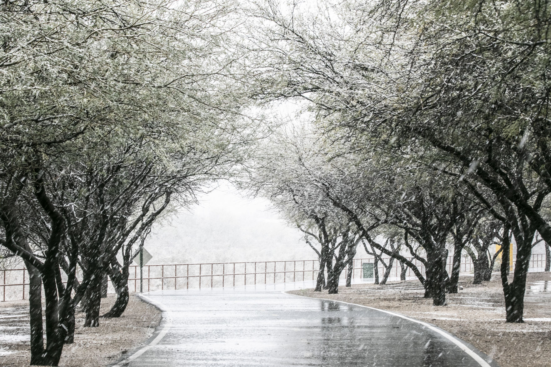 Snow across Tucson